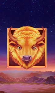 Buffalo's Sun