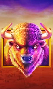 Buffalo King